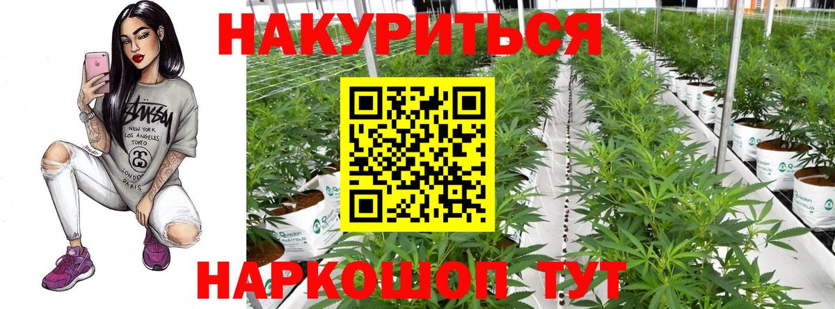 Марихуана планчик  Вход с VPN  Каннабис семена  Ливны  МАРИХУАНА SATIVA & INDICA 